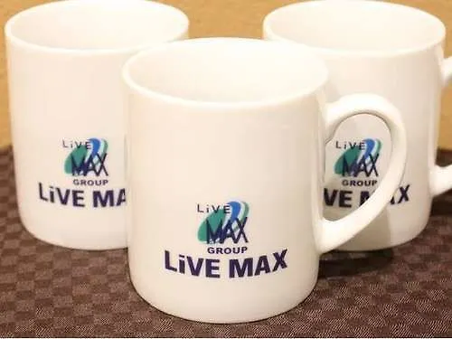 Hotel Livemax Kasai Ekimae Τόκιο